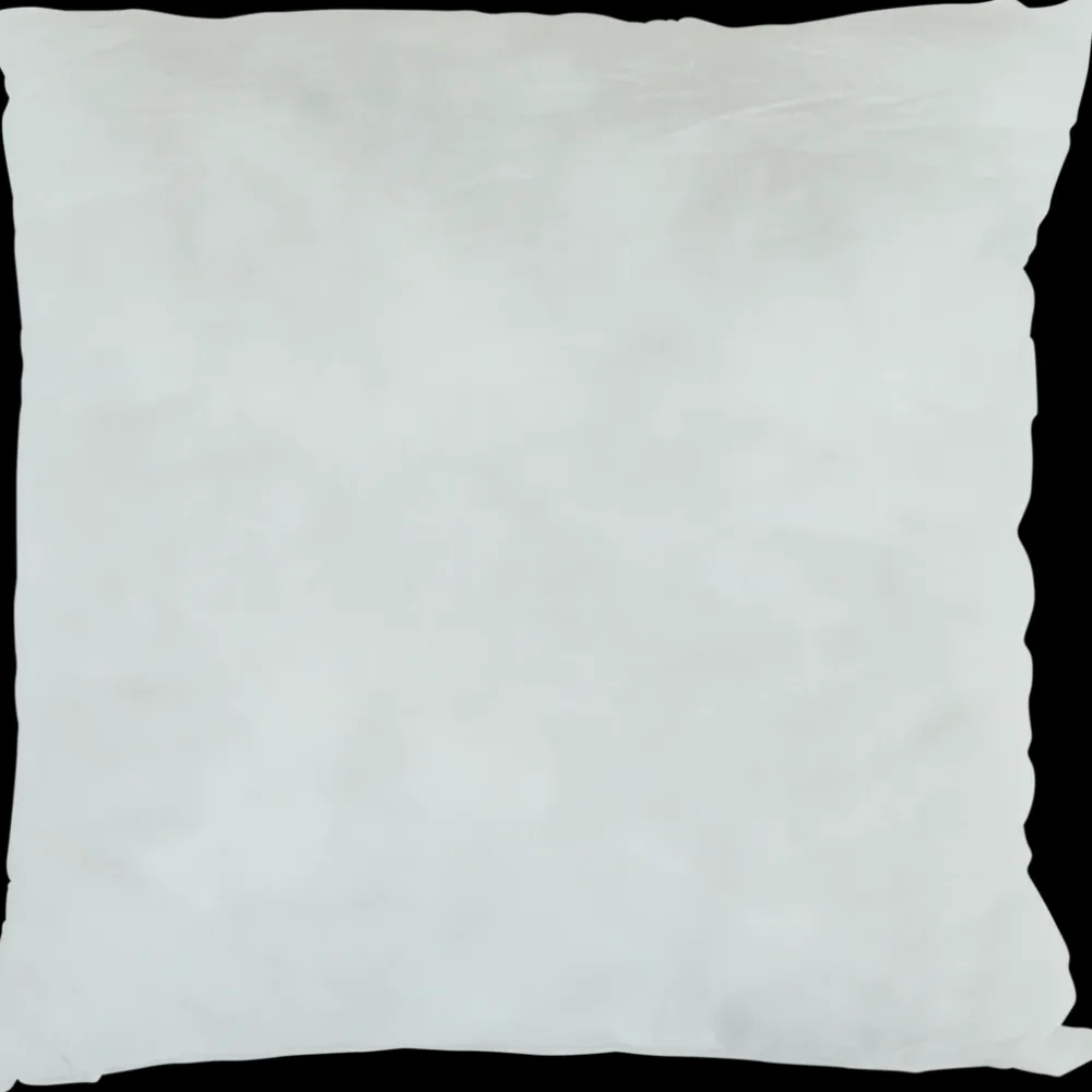 Kussens* Binnenkussen 40 x 40 cm Wit | Action NL