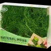 Seizoensdecoratie* Decoratief mos | Action NL