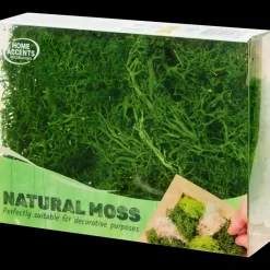 Seizoensdecoratie* Decoratief mos | Action NL
