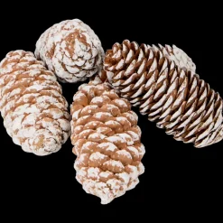 Woonaccessoires* Decoratiemix | Action NL