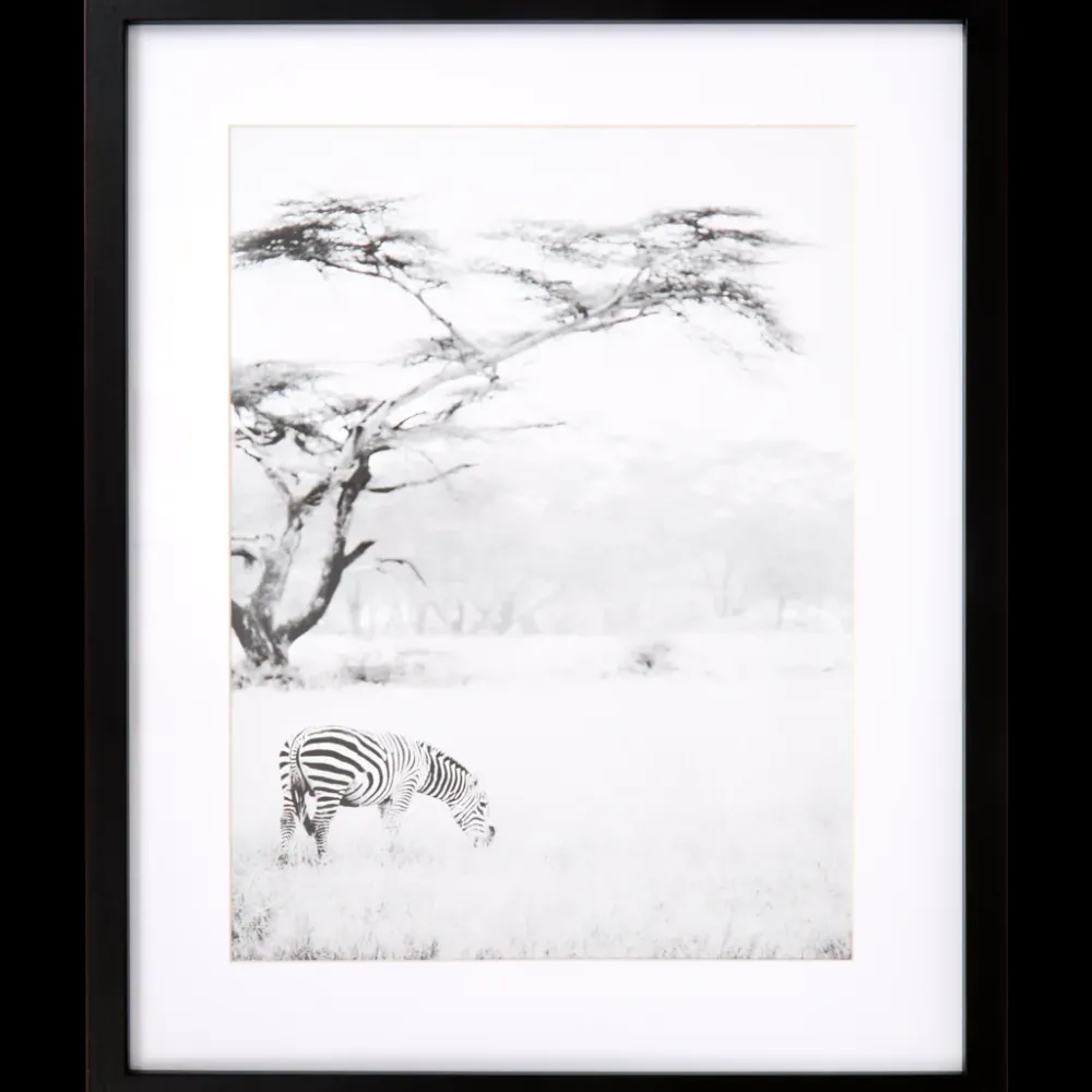 Fotolijstjes* Fotolijst Texas 40 x 50 cm | Action NL