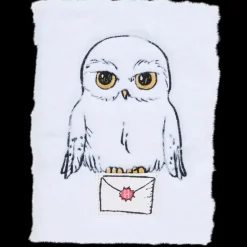 Kleuren & Tekenen*Harry Potter notitieboek A5 | Action NL