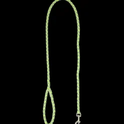 Dierenbenodigdheden|Hond* Hondenriem | Action NL