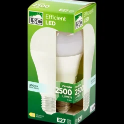 Verlichting*LSC ledlamp 17 watt 2500 lm | Action NL
