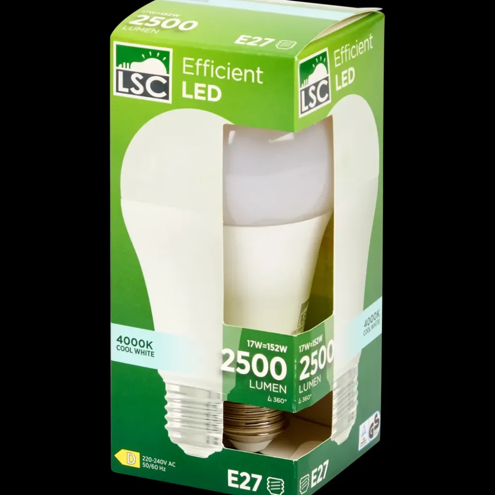 Verlichting*LSC ledlamp 17 watt 2500 lm | Action NL