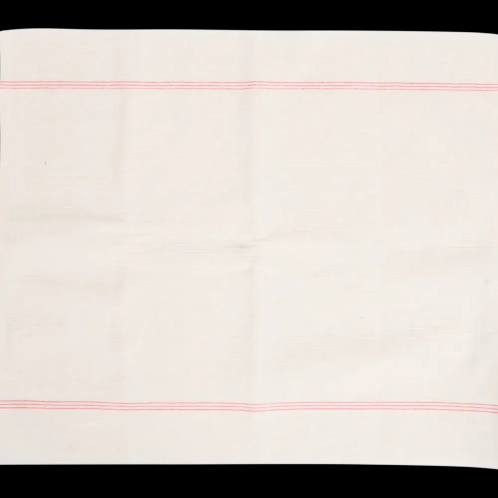 Schoonmaakartikelen* Non-woven dweil | Action NL