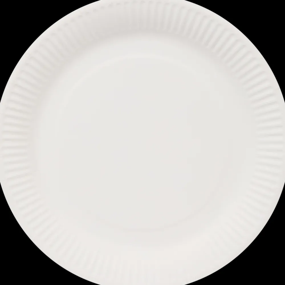 Feestartikelen* Papieren borden | Action NL