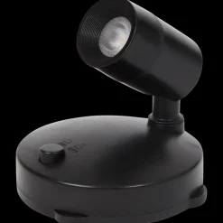 Tuindecoratie* Planten spotlight | Action NL