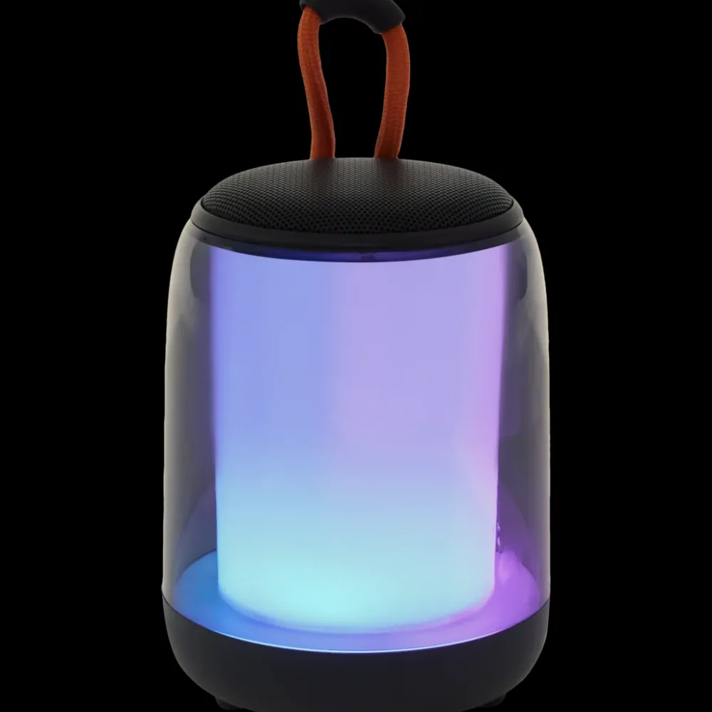 Multimedia Accessoires*Roseland mini led-speaker | Action NL