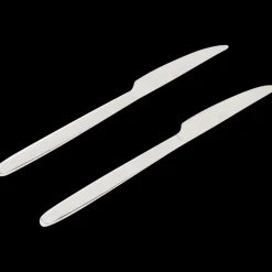 Bestek*Sola Ibiza messen Zilver 2 Stuks | Action NL