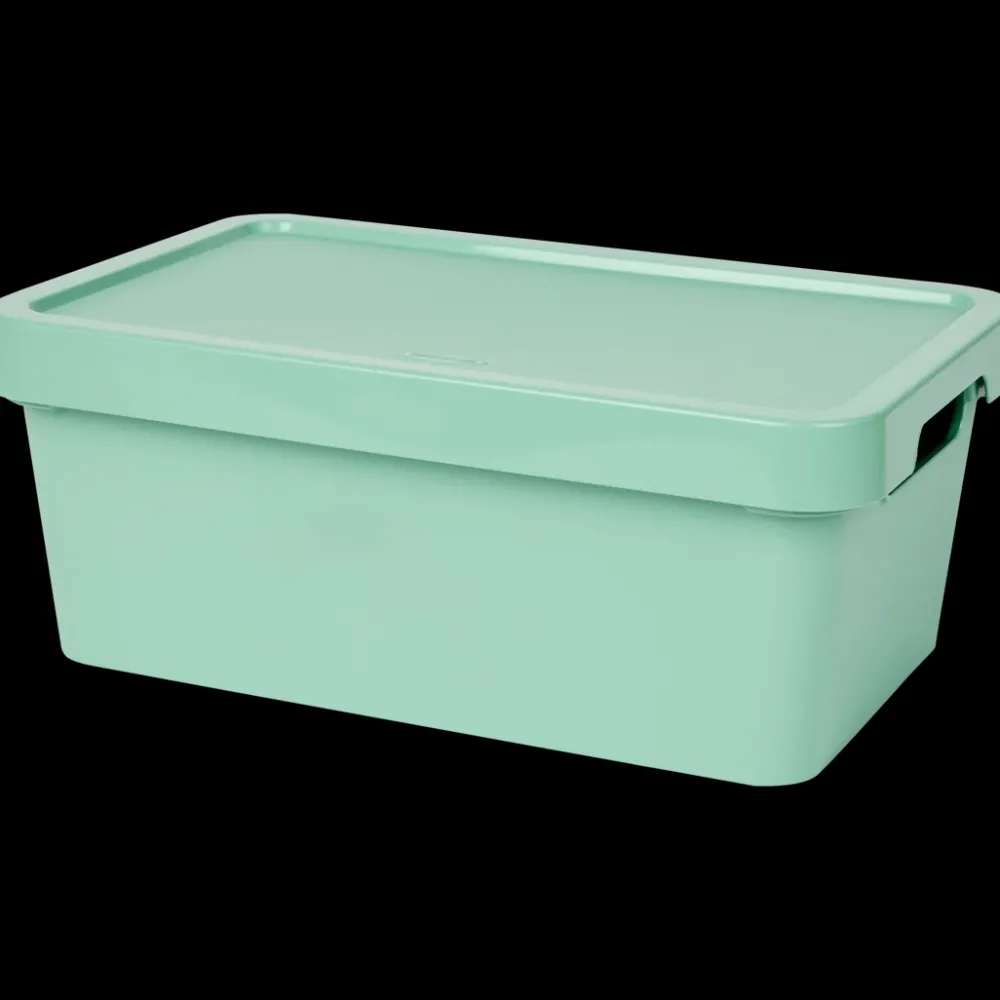 Bewaren & Meenemen* Tontarelli opbergbox Maya 4.2 liter | Action NL