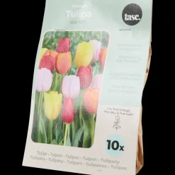Zaaien & Planten* Tulpenbollen | Action NL