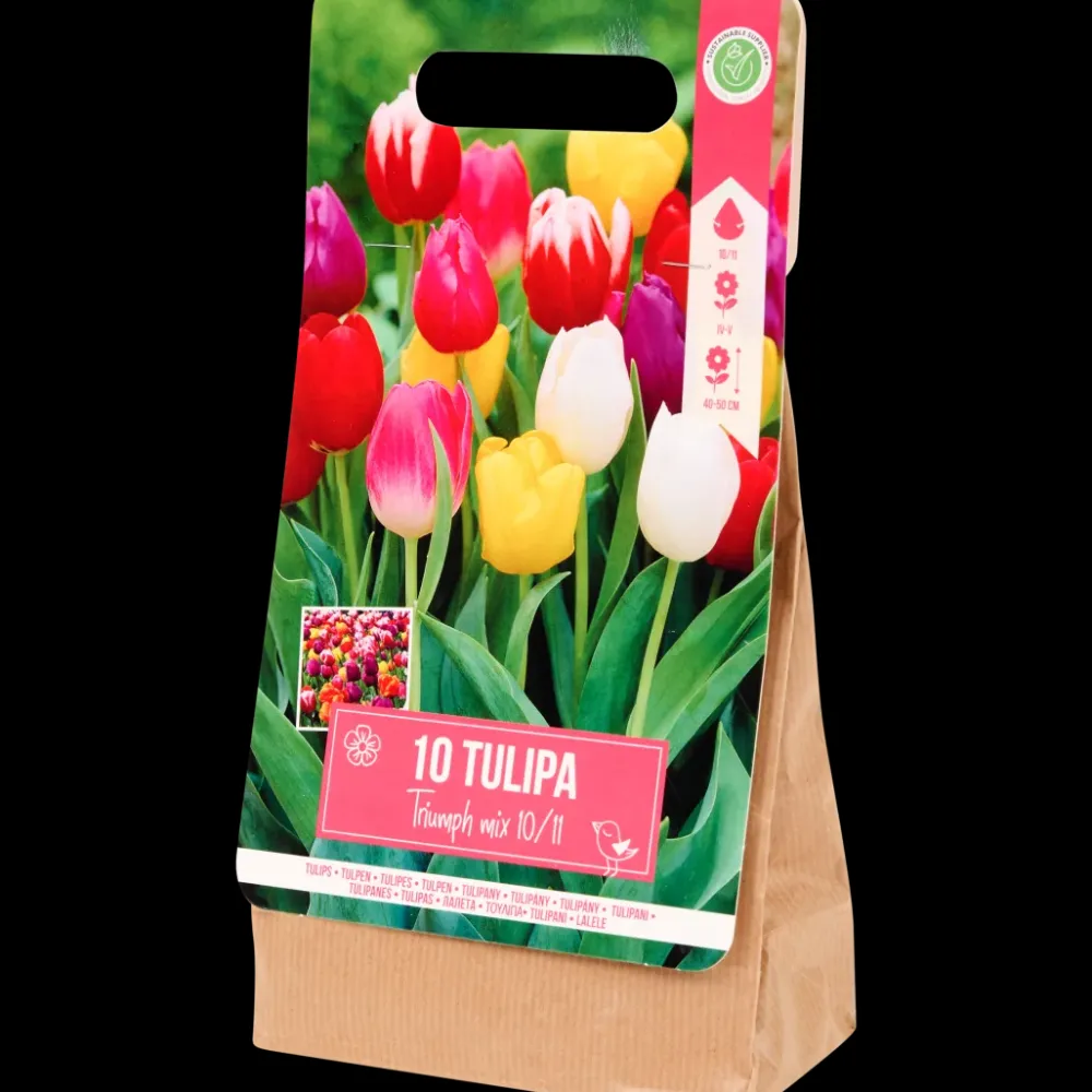 Zaaien & Planten* Tulpenbollen | Action NL