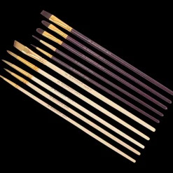 Schilderen*Van Bleiswijck penselenset | Action NL