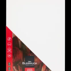 Schilderen*Van Bleiswijck schildersdoek | Action NL