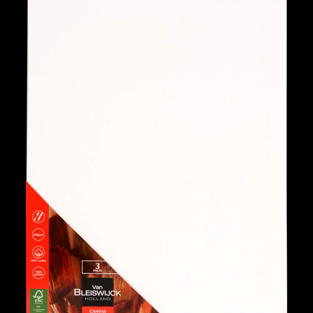 Schilderen*Van Bleiswijck schilderspanelen | Action NL