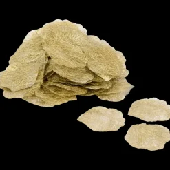 Kunstplanten & -Bloemen* Winterroos bloemblaadjes | Action NL